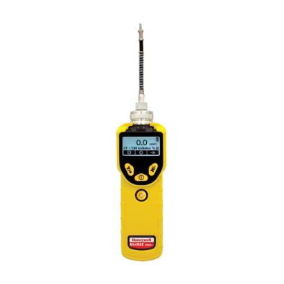 MINI RAE 3000