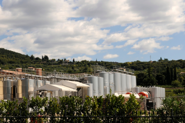 cuve vinification
