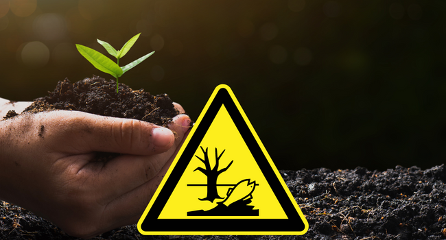 environnement