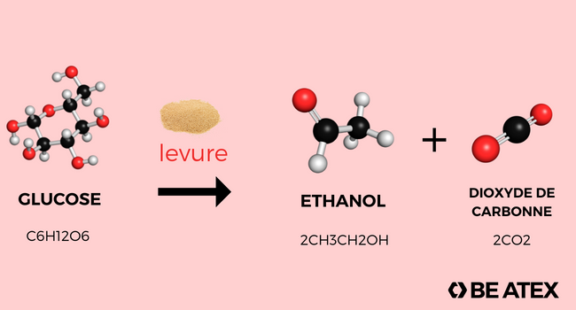 Réaction chimique de la fermentation de la bière
