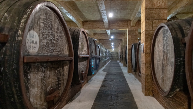 Vinification