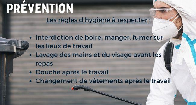 plomb : prévention
