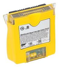 Batterie NiMH GasALertQUATTRO 